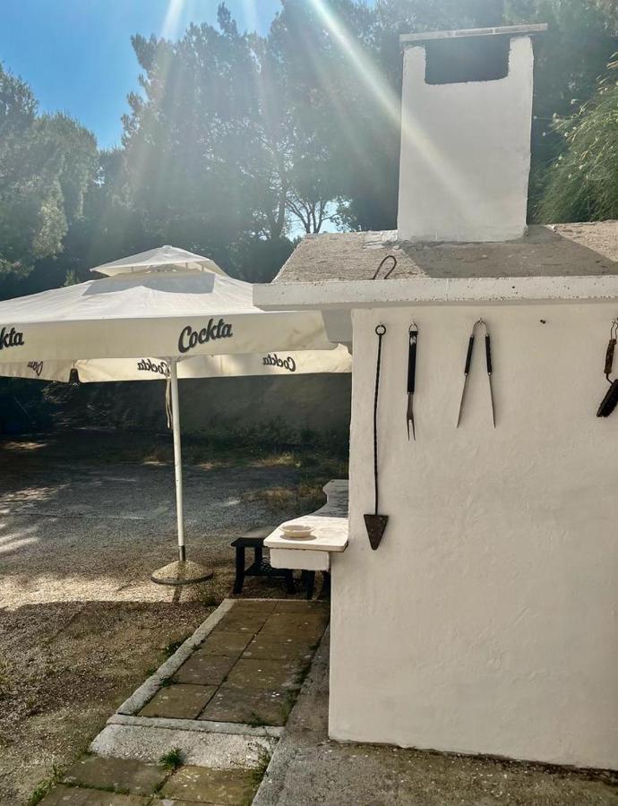 Apartmani Branko Vojnovic Omiš Εξωτερικό φωτογραφία